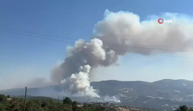 Uşak'ta otluk alanda çıkan yangına müdahale devam ediyor