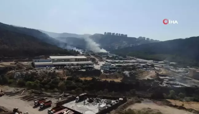 İzmir'de çıkan orman yangınında onlarca dönüm alan zarar gördü