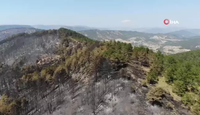 Bolu'daki yangının ardından yeşil alanlar siyaha döndü