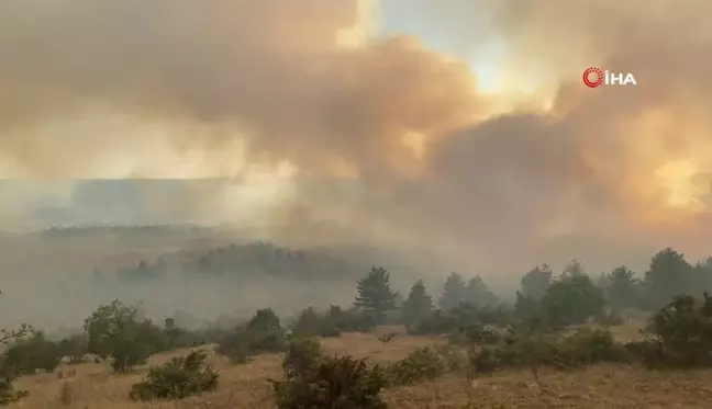 Çankırı'daki orman yangınına havadan ve karadan müdahale sürüyor