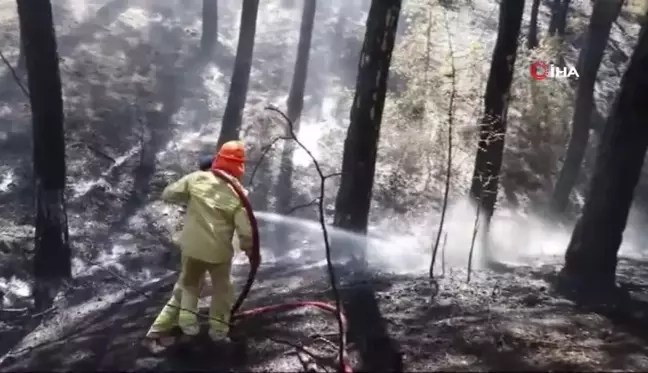 Ula'da ekipler alevlerin yeniden yükselmesine izin vermiyor