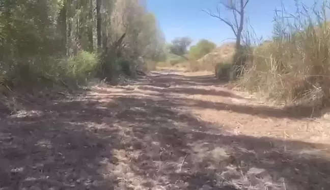 Sakarya Nehri Kurudu: Çiftçiler Mağdur, Balıklar Öldü