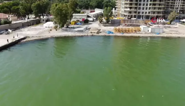 İzmir Körfezi'nde Binlerce Balık Kıyıya Vurdu