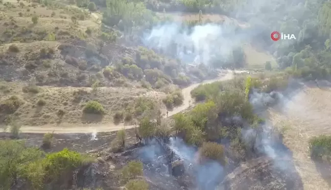 Burdur'da ağaçlık alanda çıkan yangın köylülerin imece usulü çabasıyla söndürüldü