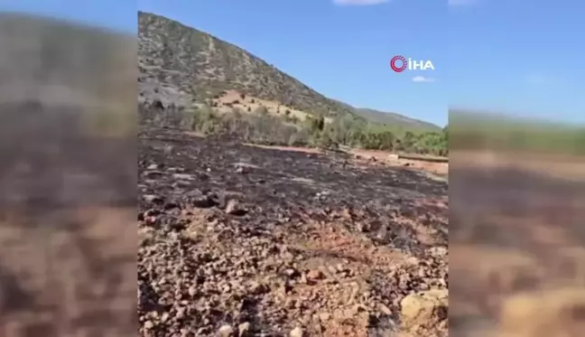 Isparta'da çıkan orman yangını hızlı müdahale ile söndürüldü