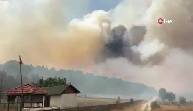 Kızılcahamam'da ormanlık alanda yangın çıktı