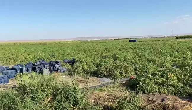 Utku Çakırözer: Üretici Kan Ağlıyor Ama Ülkeyi Yönetenler Tarladaki Gerçeklerden Bihaberler