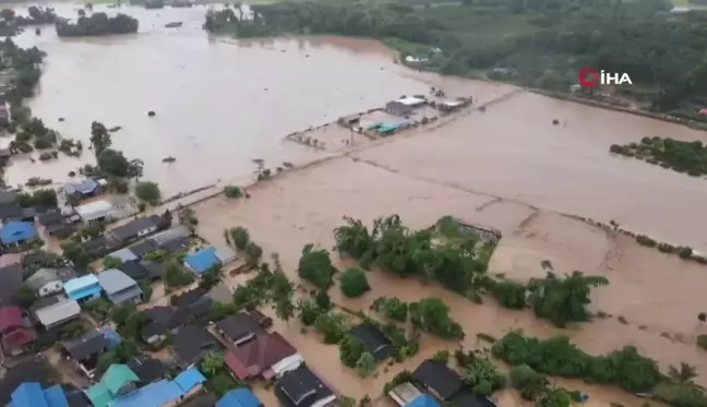 Tayland'da sel felaketi: 5 ölü