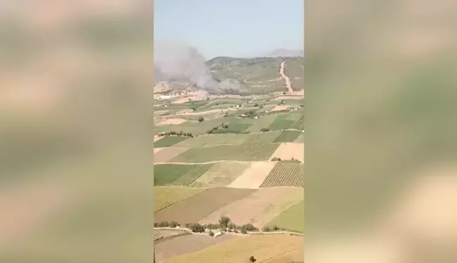 İzmir'in Bergama ilçesinde orman yangını çıktı