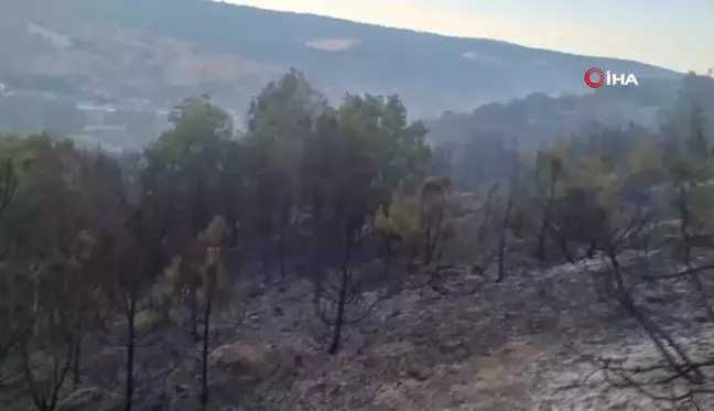 Bilecik'te kontrol altına alınan orman yangınında soğutma çalışmaları yapılıyor