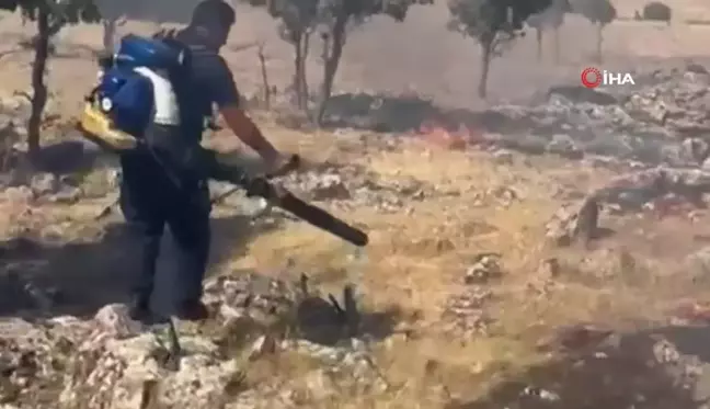 Mardin'de ormanlık alanda çıkan yangın söndürüldü