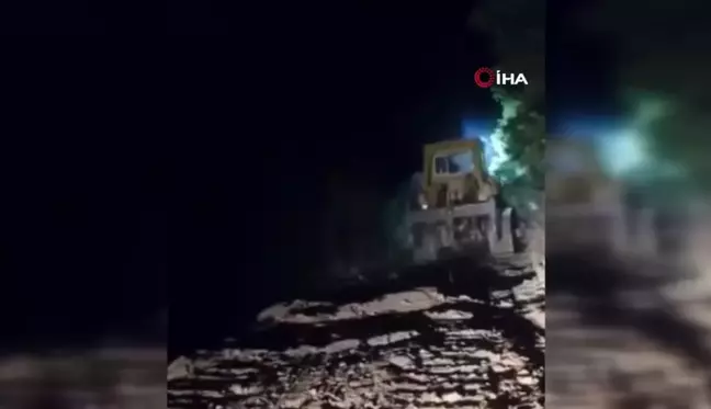 Bitlis'te çıkan orman yangınları kontrol altına alındı