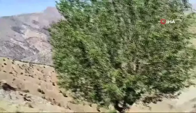 3 bin rakımda öğrencilerin okul heyecanına ortak oldular