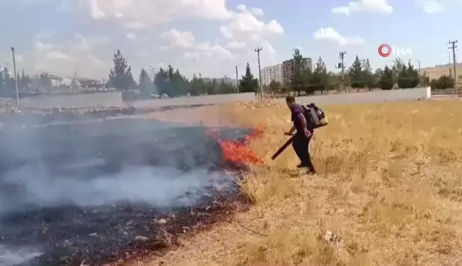 Mardin'de Ot Yangını Kontrol Altına Alındı