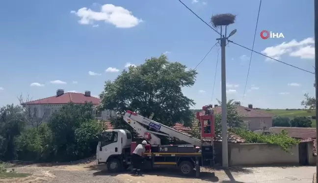 Termal Kameralı Dronlarla Leylek Yuva Bakımı Başlatıldı