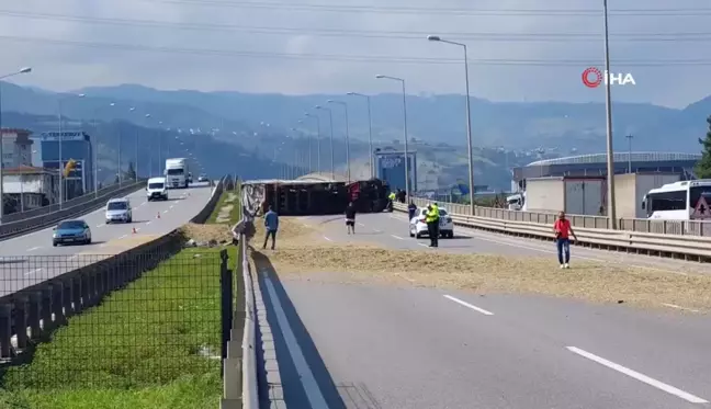 Boynunu Arı Sokan Tır Sürücüsü Kazada Yaralandı