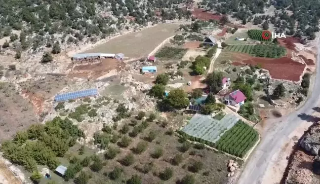 Çiftçi Güneş Enerjisi İle Üretim Maliyetini Sıfırladı