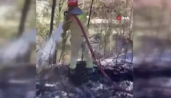 Yatağan-Milas Karayolunda Yangın Kontrol Altına Alındı