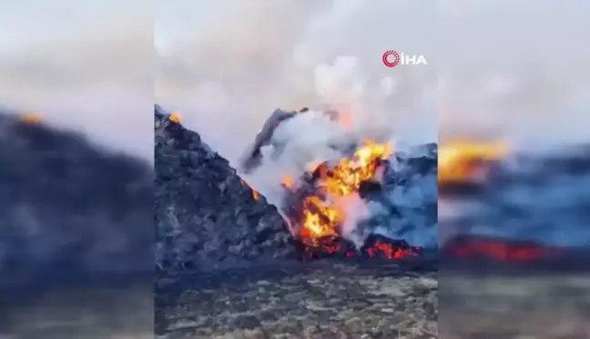 Van'da 9 Bin Bağ Ot Yangında Kül Oldu