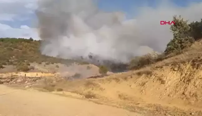 Afyonkarahisar'da Orman Yangınına Müdahale Ediliyor