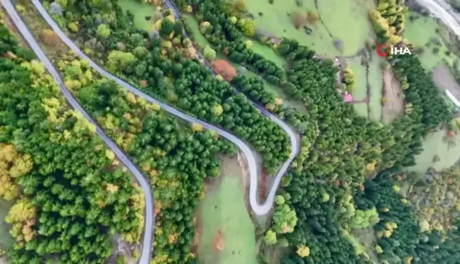 Artvin'de Sonbahar Manzaraları Masal Gibi