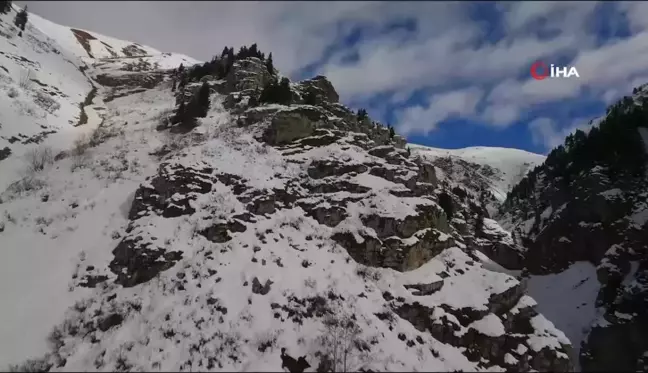 Rize'nin Karlı Yaylalarında Kartpostallık Görüntüler