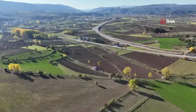 Kastamonu'da 12 Bin Yıllık Siyez Buğdayı Ekim Zamanı