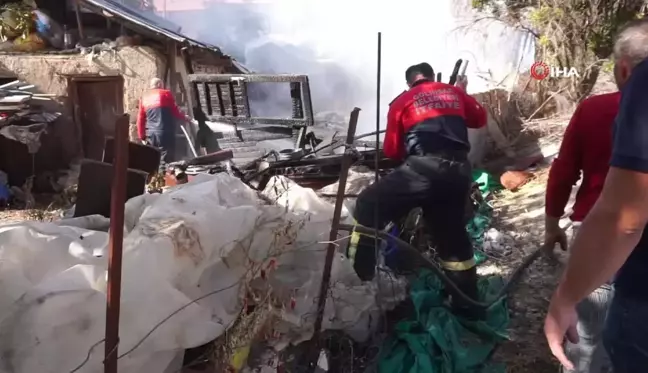 Burdur'da Bahçede Çıkan Yangın Ahıra Sıçradı