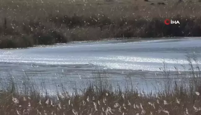 Kars'ta Lavaş Gölü Dondu