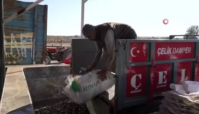 Gaziantep'te Zeytinyağı Üretim Yoğunluğu