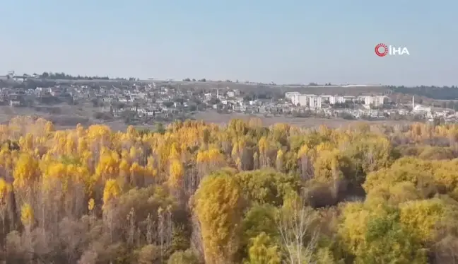 Diyarbakır Hevsel Bahçeleri'nde Sonbahar Renkleri