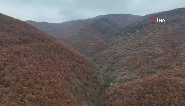 Bilecik'te Sonbahar Manzaraları Göz Kamaştırıyor