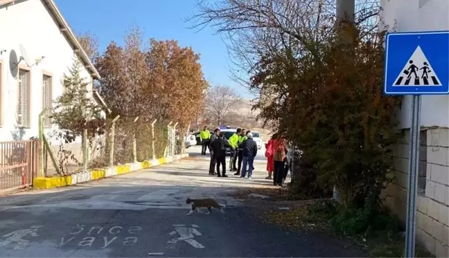 Ereğli'de otomobilin çarptığı çocuk yaralandı