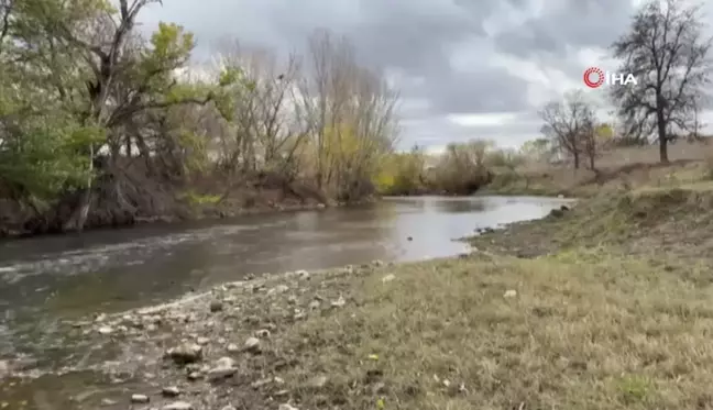 Edirne'de Tunca Nehri'nde Kuraklık Alarmı