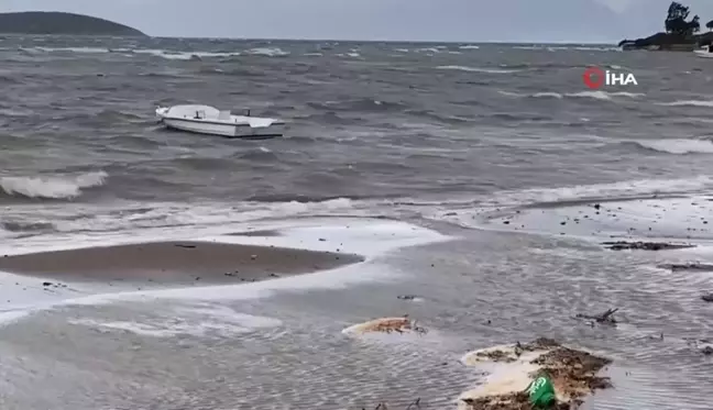 Ayvalık'ta Şiddetli Lodos Fırtınası Hasara Neden Oldu