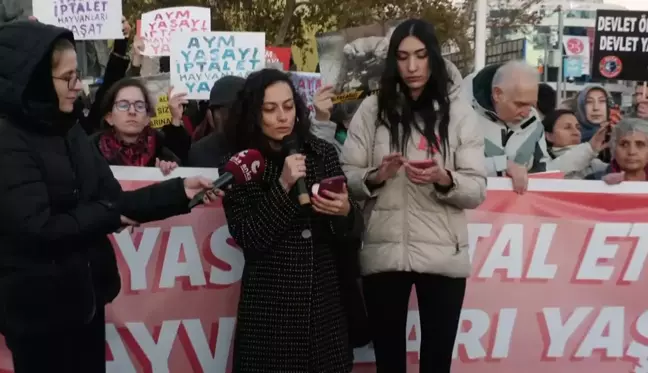 Hayvan Hakları Savunucuları AYM'ye Katliam Yasasının İptali İçin Eylem Düzenledi