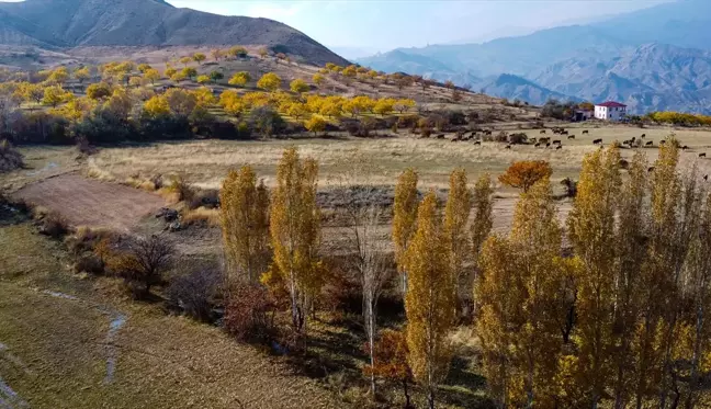 Tekelti Dağı Sonbahar Renkleriyle Büyülüyor