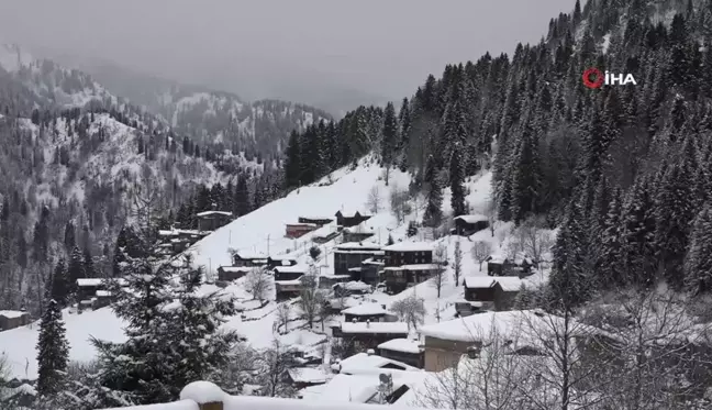 Ayder Yaylası'nda Kar Yağışı Festivale Hazırlıkları Artırdı