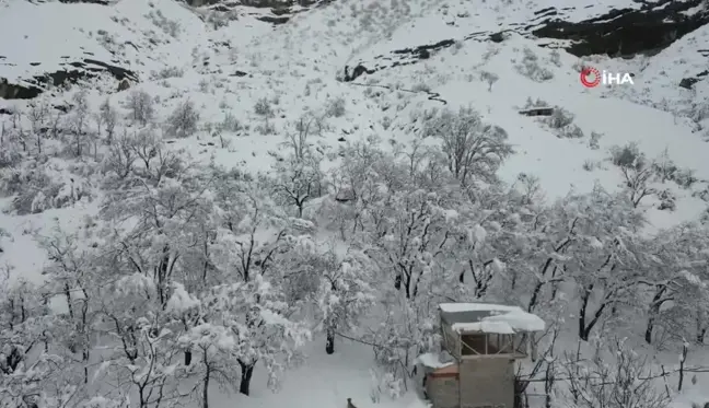 Uzundere'de Çığ Faciası: 350 Koyun Uçurumdan Düştü