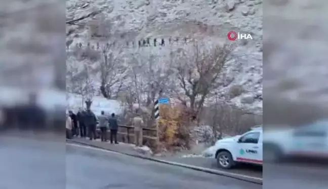 Hakkari'de Dağdan Düşen Genç Hayatını Kaybetti