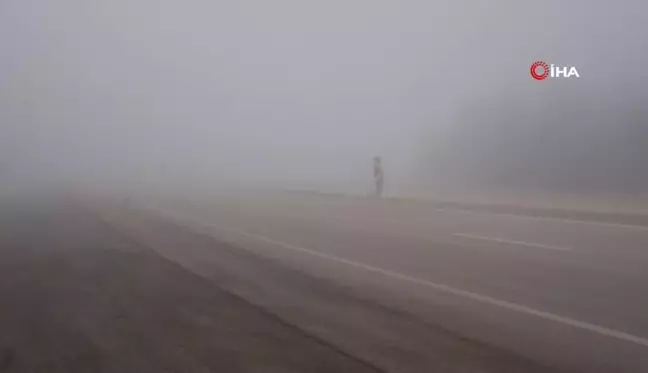 Kastamonu'da Yoğun Sis Trafiği Olumsuz Etkiliyor