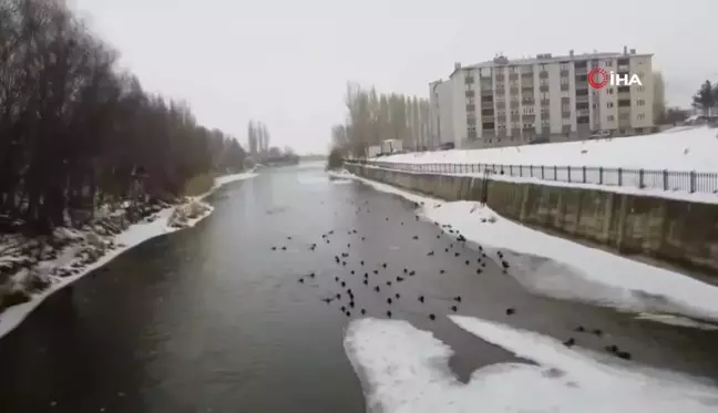 Bayburt'ta Çoruh Nehri Kısmi Buz Tuttu