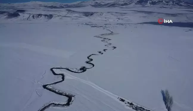 Özalp'te Kırağıyla Kaplı Ağaçlar ve Menderes Manzarası