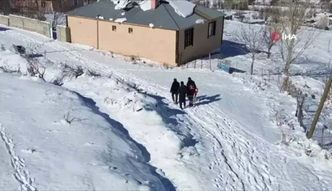 Van'da Kış Aylarında Aşı ve Küpe Çalışmaları Sürüyor