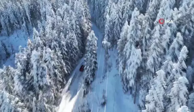 Artvin'in Genya Dağı'nda Kışın Büyüleyici Güzellikleri