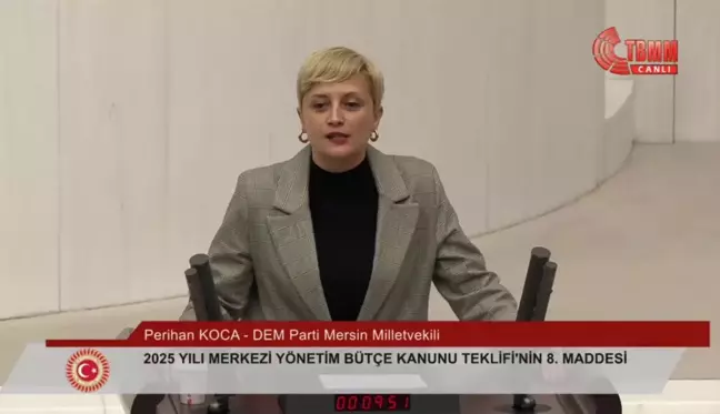 Perihan Koca: 2025 Bütçesi Saray'ın Şatafatına Gidiyor