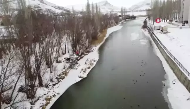 Buzdan Kurtarma: Baba ve Çocukları Sokak Köpeğini Kurtardı