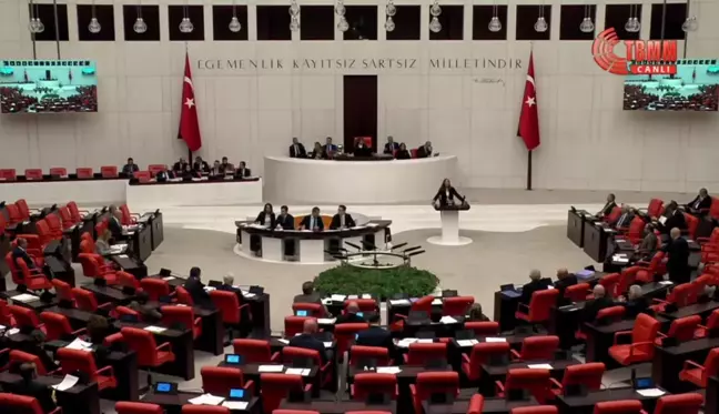 TBMM Genel Kurulu... Evrim Rızvanoğlu, 