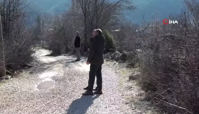 Antalya'nın ürkek misafirleri yaban keçileri mahalleye indi