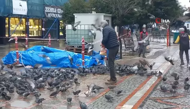 Soğuk Hava, Sokak Hayvanlarını Zora Soktu